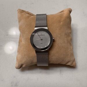 Skagen Stainless Steel Mesh Watch